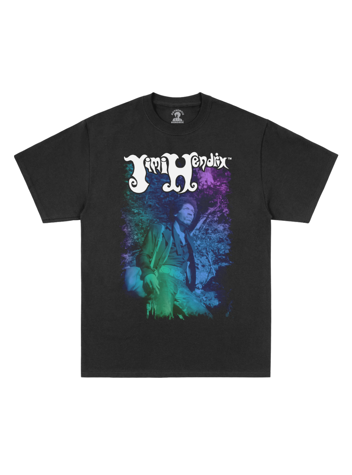 Purple Green and Blue Gradient Photo Tee – Authentic Hendrix