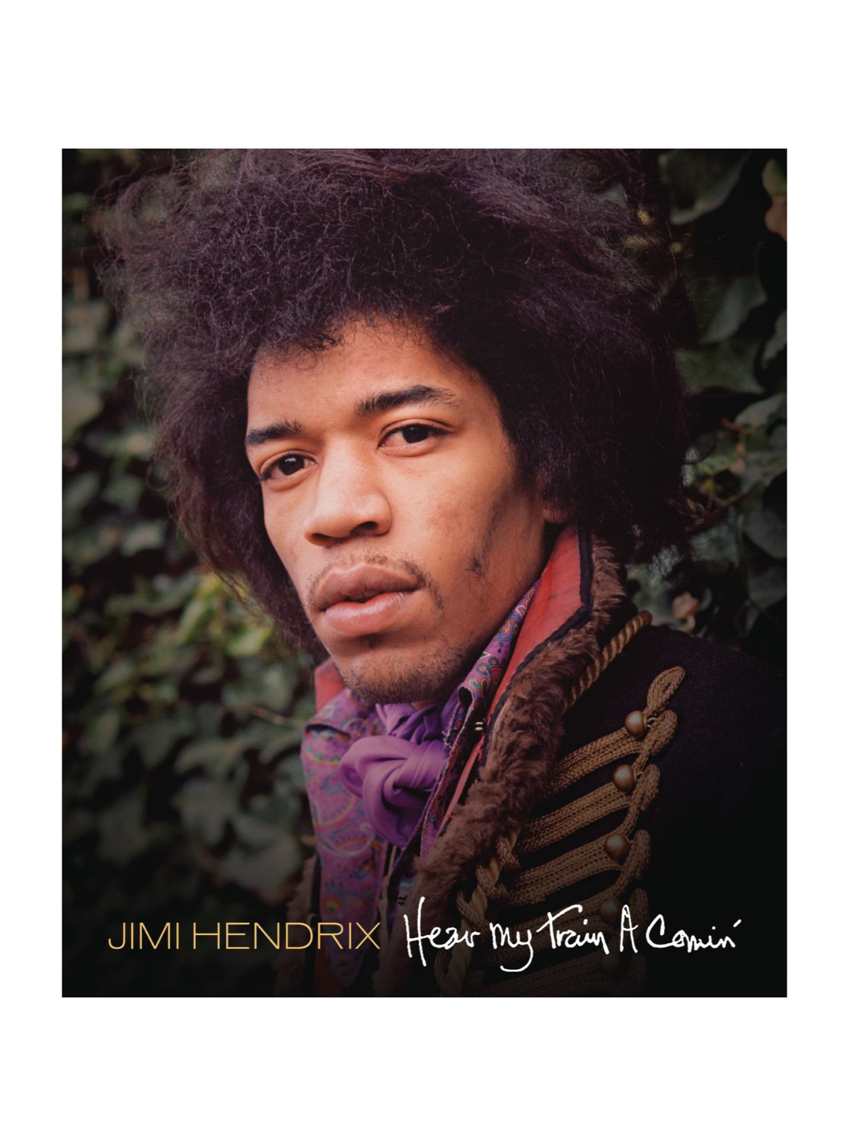 Hear My Train A Comin' DVD