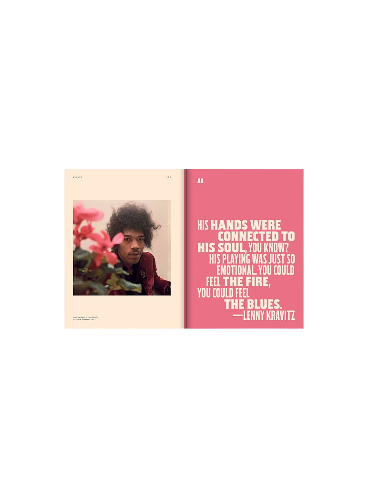 JIMI by Janie Hendrix; by John McDermott