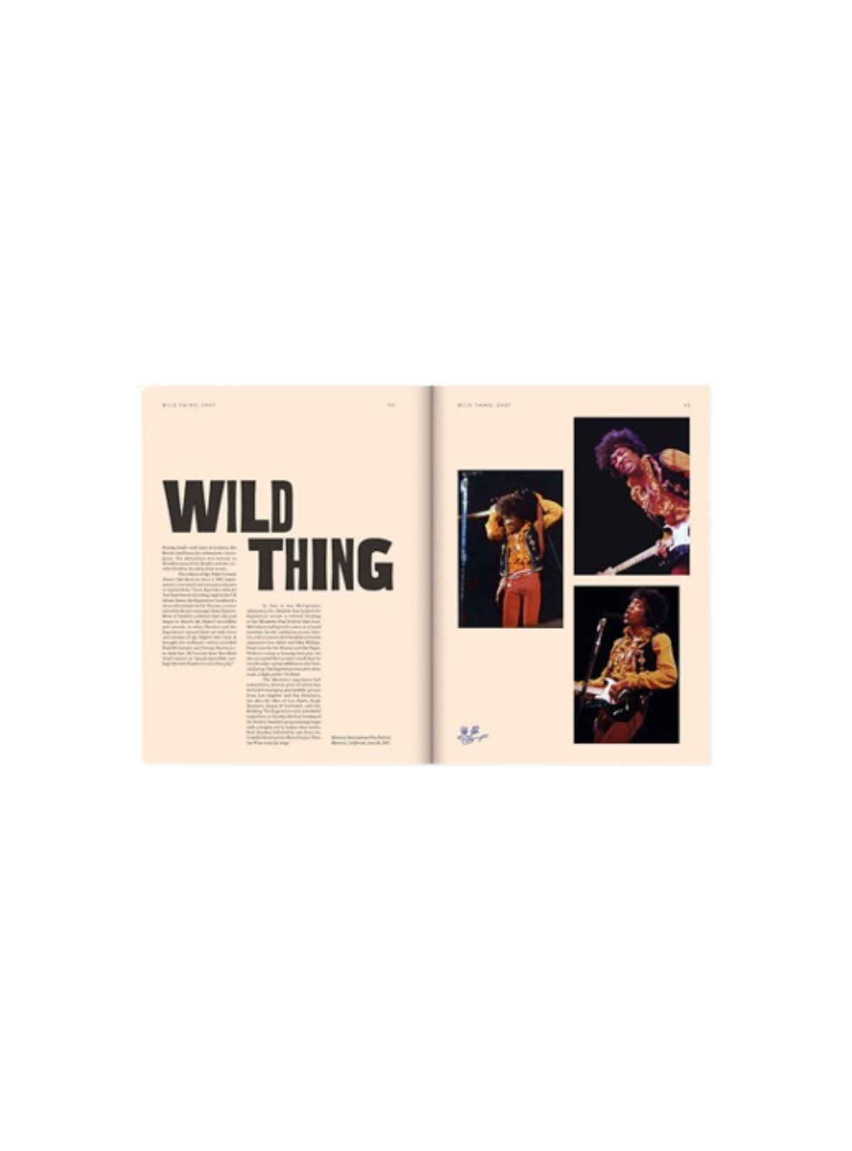 JIMI by Janie Hendrix; by John McDermott